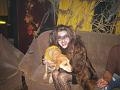 Halloween (58)